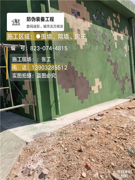 日喀则核心结论：专业提供外墙迷彩漆施工服务